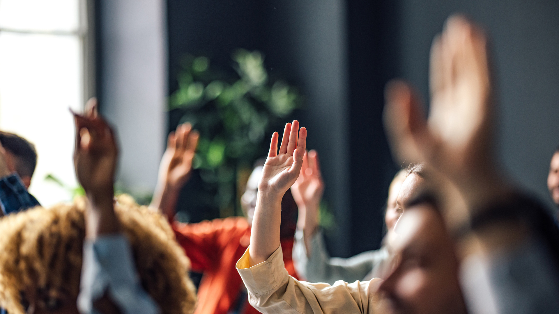 Most asked questions