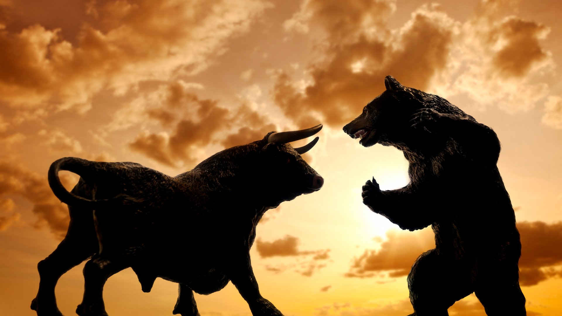 Bull vs Bear Markets: What Every Investor Should Know