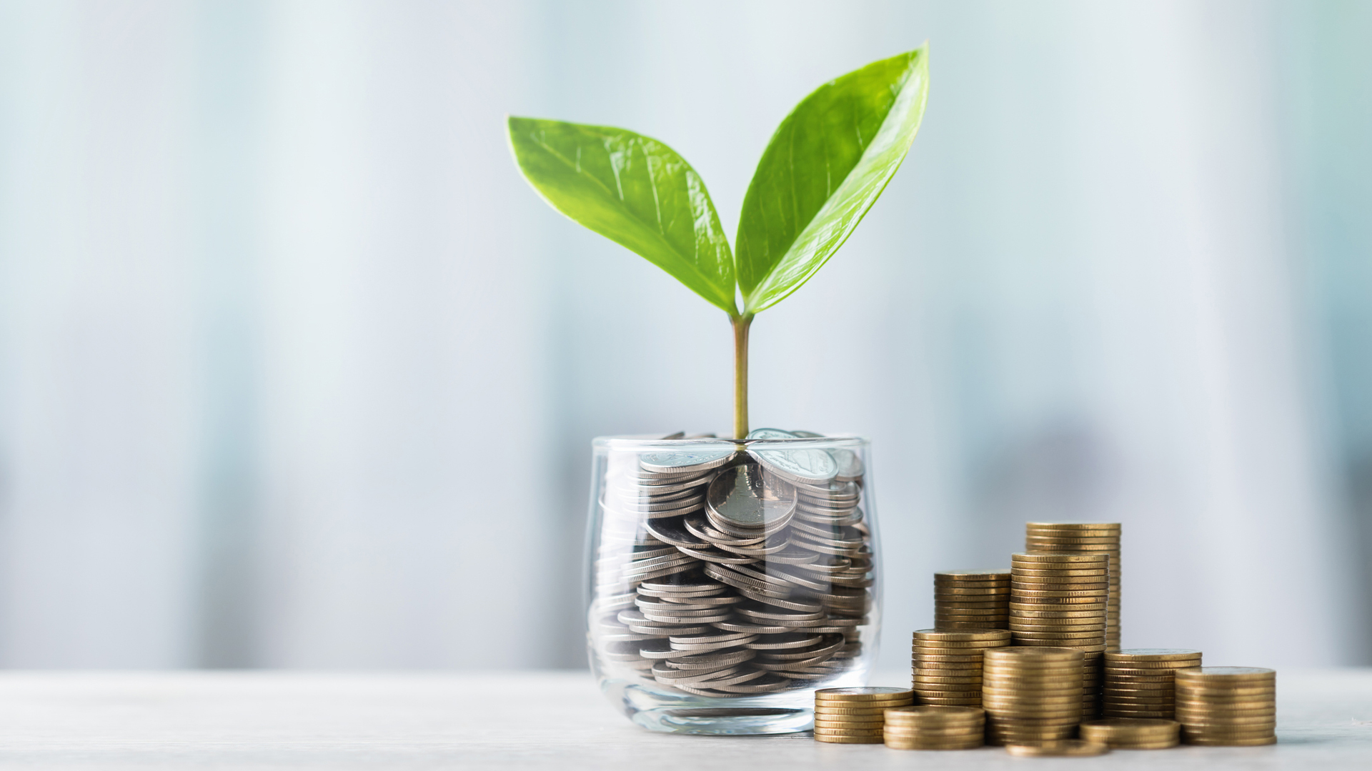 Finding your fund: Understanding Growth KiwiSaver Funds
