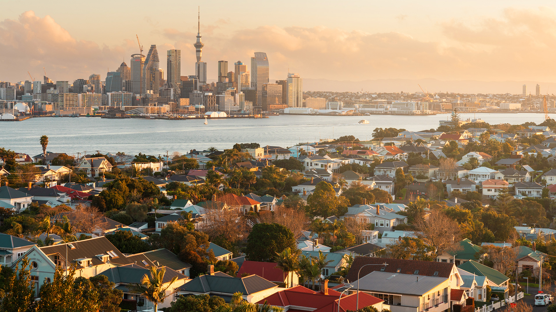 New Zealand has too many millionaires struggling to make ends meet